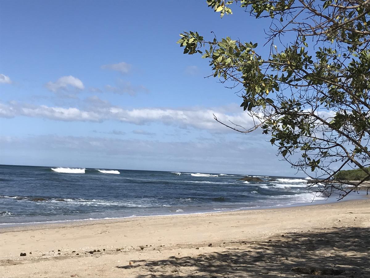 Naxos 8 * Tamarindo